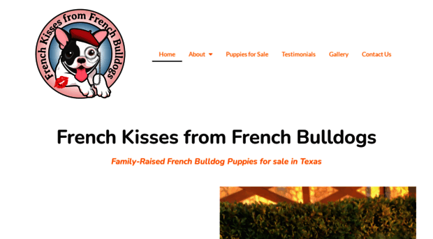 frenchbullkisses.com