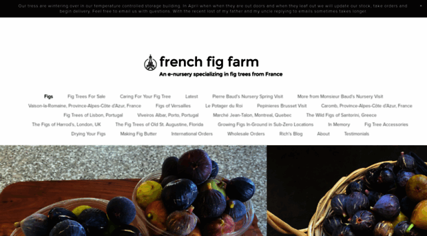 frenchfigfarm.com