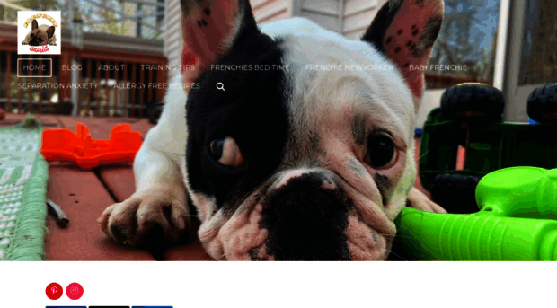 frenchie-world.com