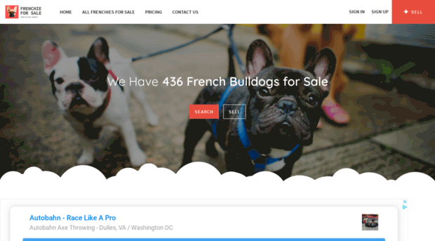 frenchieforsale.com