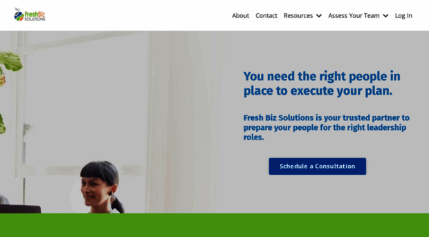 freshbizsolutions.com