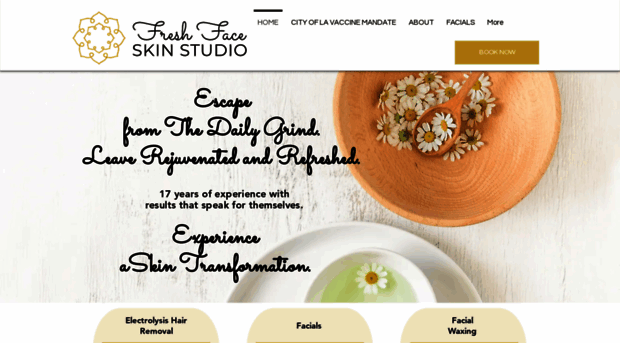 freshfaceskinstudio.com