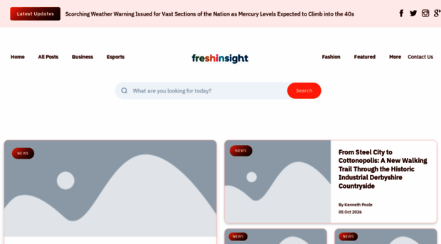 freshinsight.nl