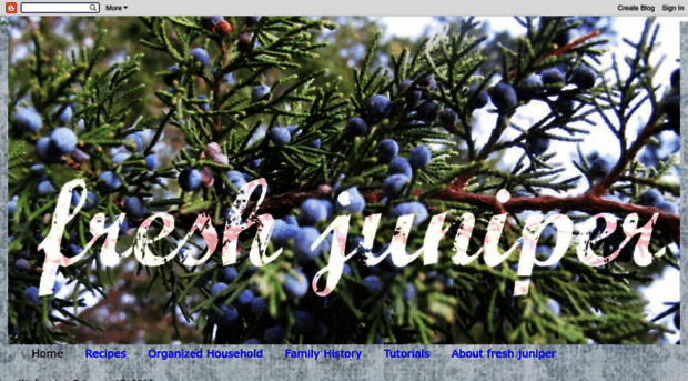 freshjuniper.blogspot.com