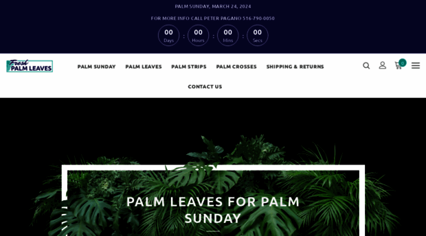 freshpalmleaves.com