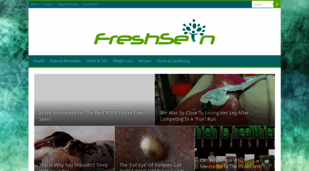 freshsein.com