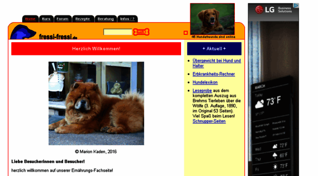 fressi-fressi.de