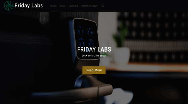 fridaylabs.net