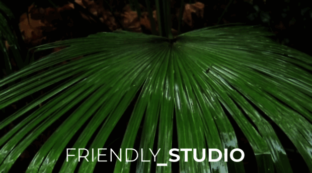 friendlystudio.eu