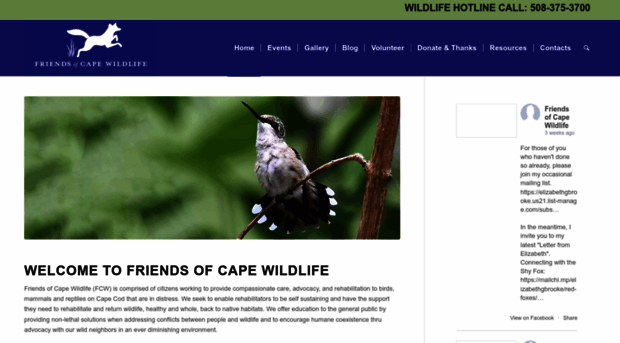 friendsofcapewildlife.org