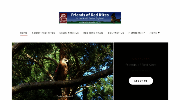 friendsofredkites.org.uk