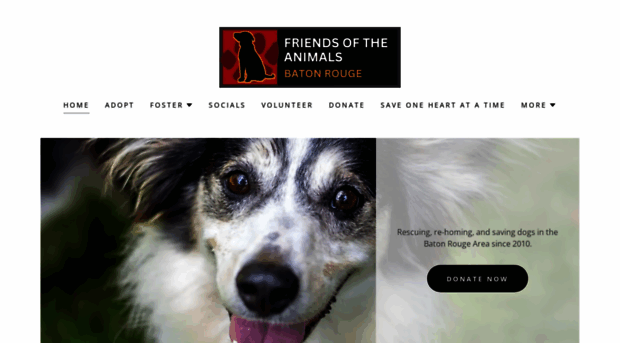 friendsoftheanimalsbr.org