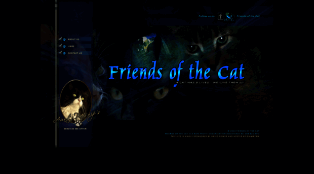 friendsofthecat.co.za