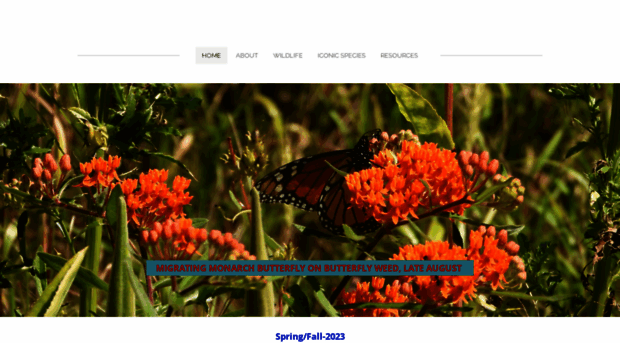 friendsoftimesbeachnp.org