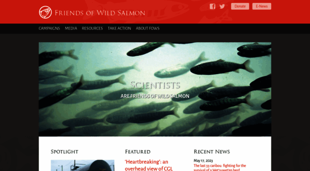 friendsofwildsalmon.ca