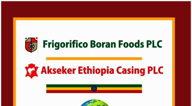 frigoethio.com