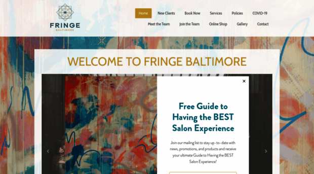 fringebaltimore.com