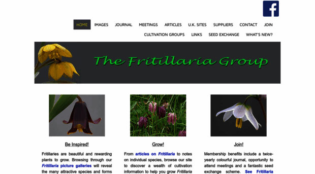 fritillaria.org.uk