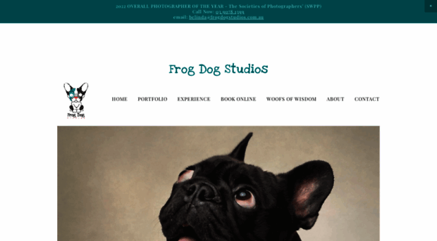 frogdogstudios.com.au