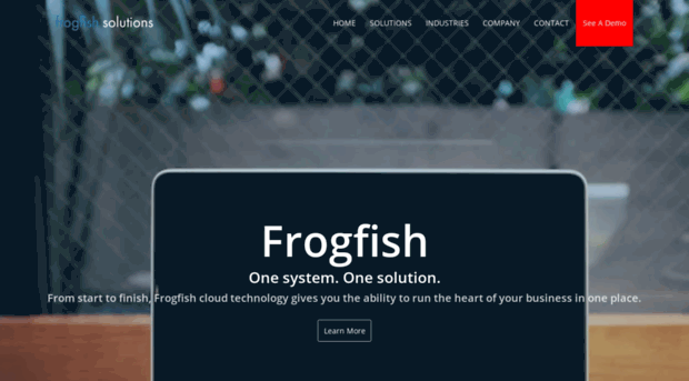 frogfishsolutions.com