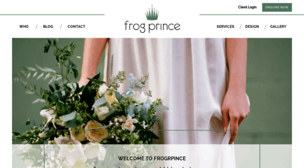 frogprince.ie