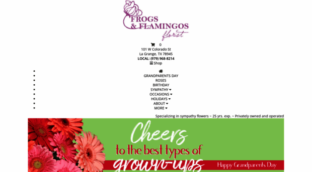 frogsandflamingosflorist.com