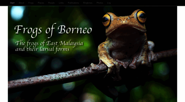 frogsofborneo.org