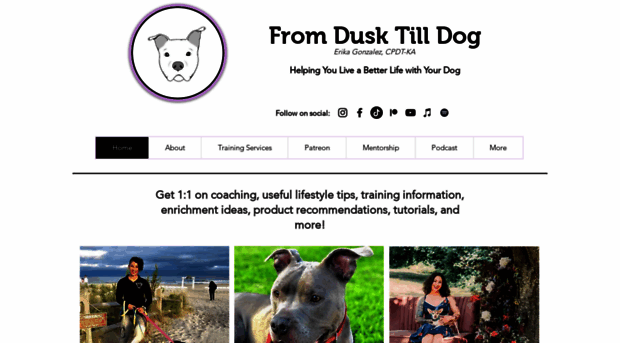 fromdusktilldog.com