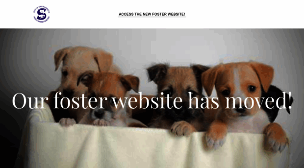 frontstreetfosters.weebly.com