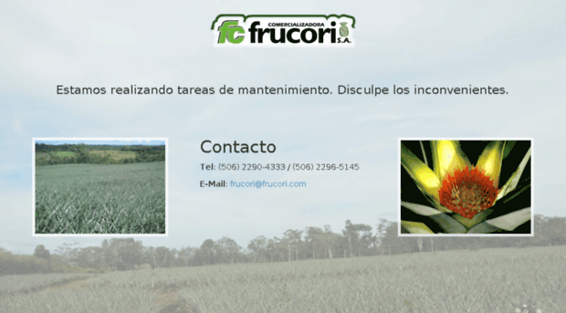 frucori.com