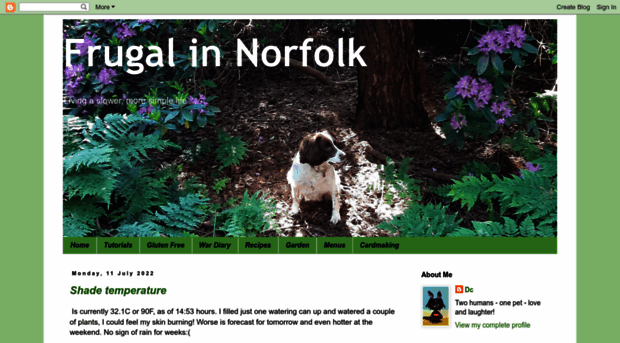 frugalinnorfolk.blogspot.com