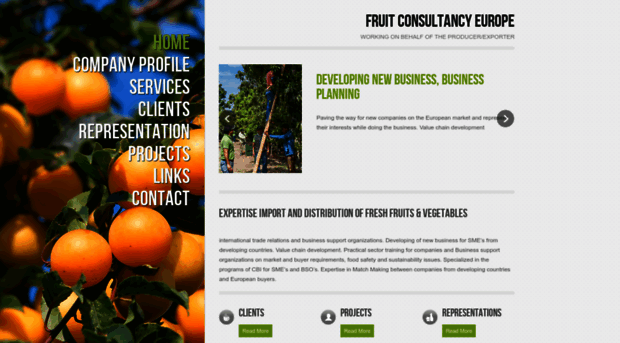 fruitconsultancyeurope.nl
