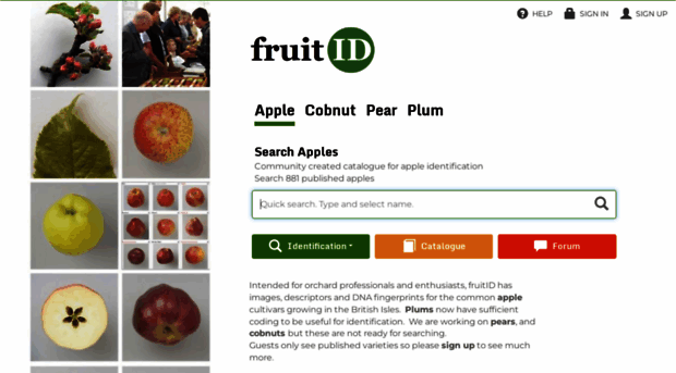 fruitid.com