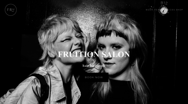 fruitionsalon.com