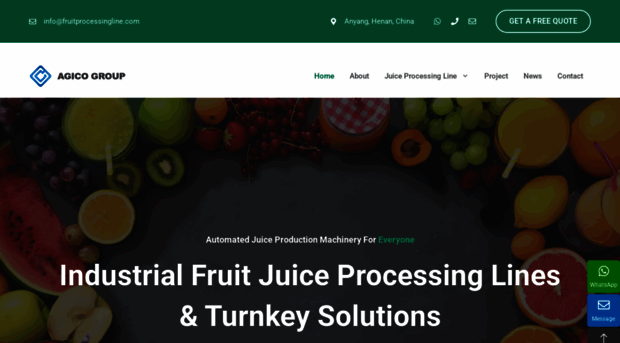 fruitprocessingline.com