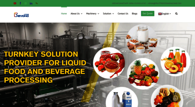 fruitprocessingmachine.com