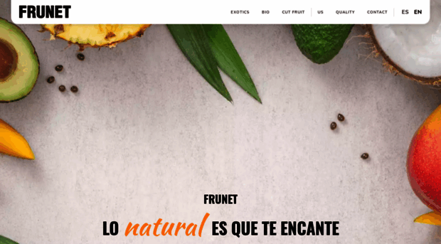 frunet.net