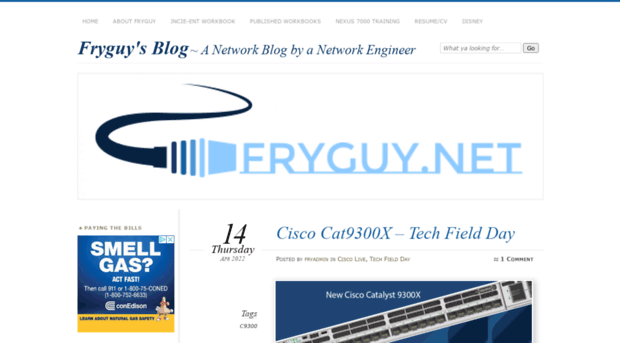 fryguy.net