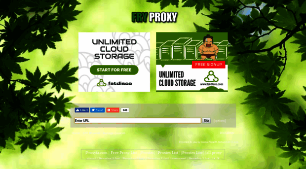 fryproxy.com