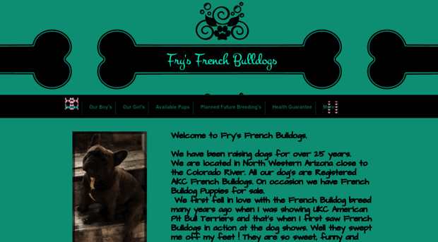 frysfrenchbulldogs.com