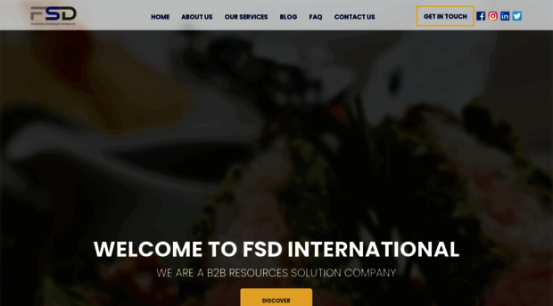 fsdintl.com