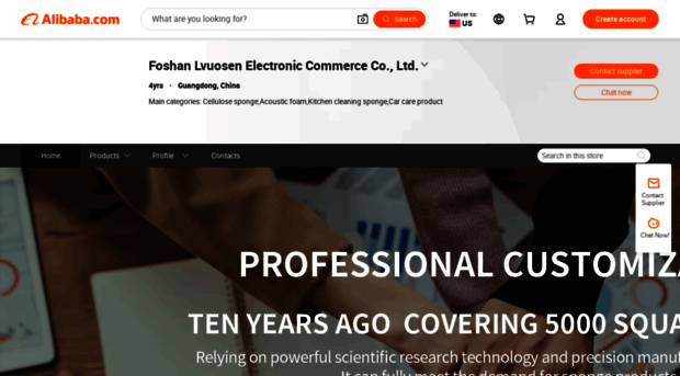 fslvnuo.en.alibaba.com