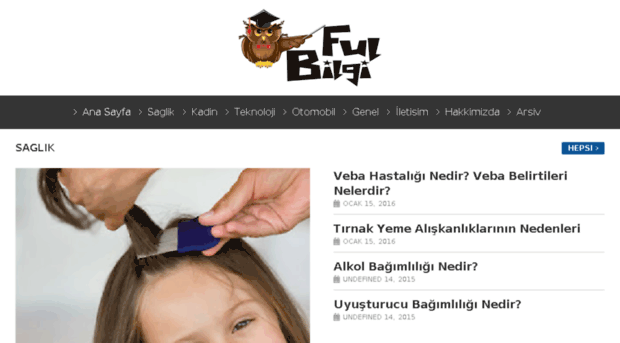 fulbilgi.com