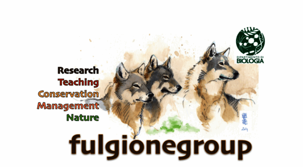 fulgionegroup.com