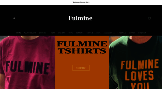 fulmine.co.uk