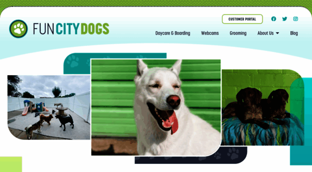 funcitydogs.com