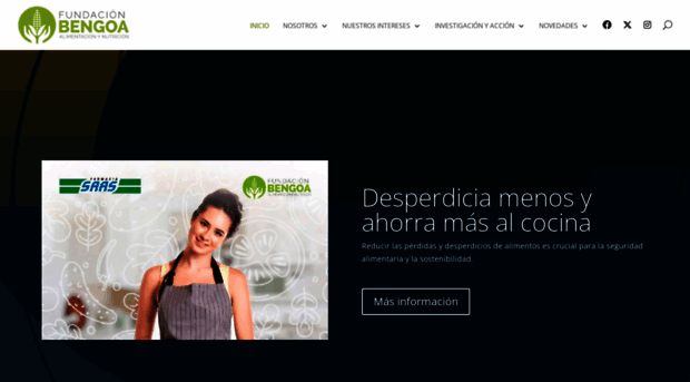 fundacionbengoa.org