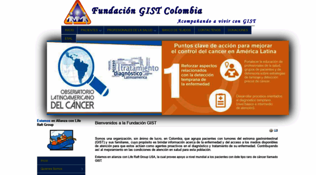 fundaciongistcolombia.org