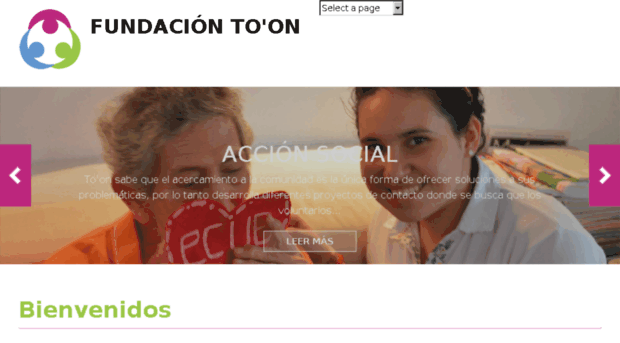 fundaciontoon.org