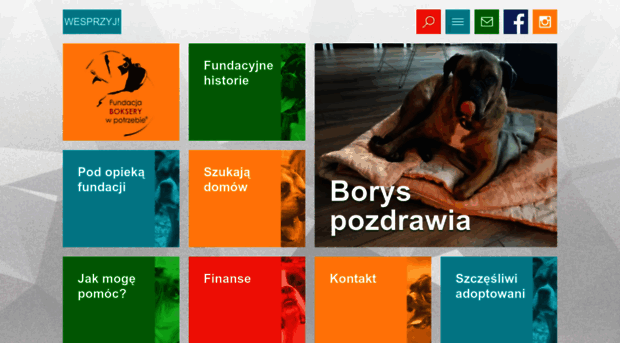 fundacja-bokserywpotrzebie.pl